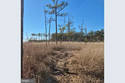 007 Mt. Vernon Road, Princess Anne, MD 21853 - Photo 33