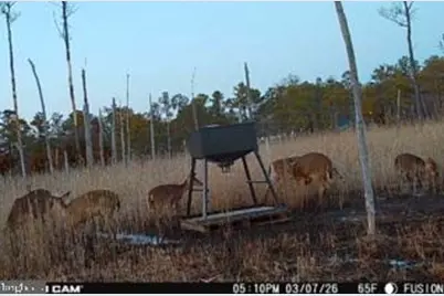 007 Mt. Vernon Road, Princess Anne, MD 21853 - Photo 11