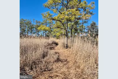 007 Mt. Vernon Road, Princess Anne, MD 21853 - Photo 37