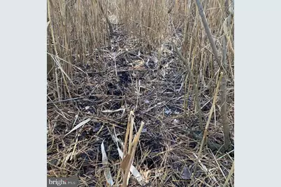 007 Mt. Vernon Road, Princess Anne, MD 21853 - Photo 45