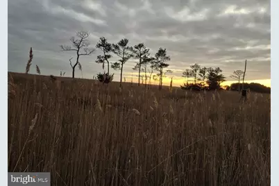 007 Mt. Vernon Road, Princess Anne, MD 21853 - Photo 41