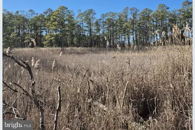 007 Mt. Vernon Road, Princess Anne, MD 21853 - Photo 43