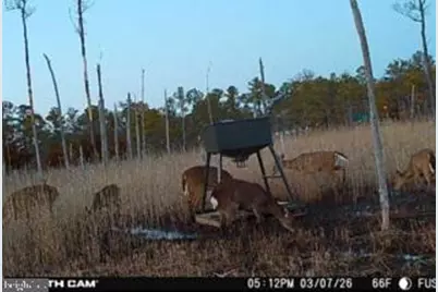 007 Mt. Vernon Road, Princess Anne, MD 21853 - Photo 3