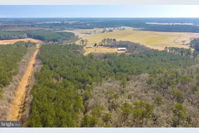 14470 & 14450 Backbone Road, Eden, MD 21822 - Photo 49