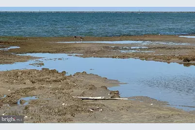 0 Smith Island, Ewell, MD 21824 - Photo 31