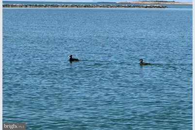 0 Smith Island, Ewell, MD 21824 - Photo 7