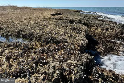 0 Smith Island, Ewell, MD 21824 - Photo 33