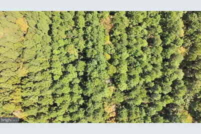 0 Deal Island Road, Princess Anne, MD 21853 - Photo 7