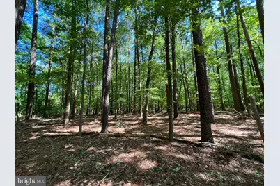 Parcel 40 Revells Neck Road, Westover, MD 21871 - Photo 7