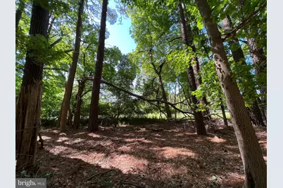 Parcel 40 Revells Neck Road, Westover, MD 21871 - Photo 5