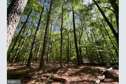 Parcel 40 Revells Neck Road, Westover, MD 21871 - Photo 11