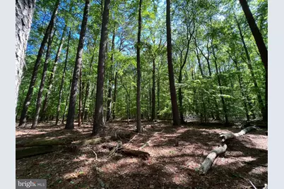 Parcel 40 Revells Neck Road, Westover, MD 21871 - Photo 13