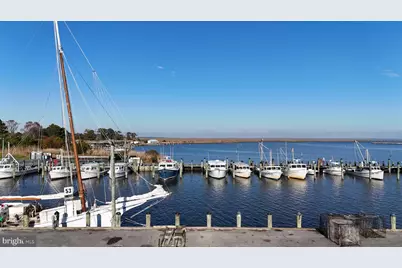 10821 Toddville Road, Deal Island, MD 21821 - Photo 19