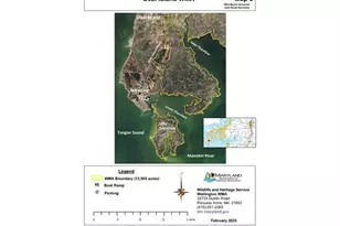 10821 Toddville Rd, Deal Island, MD 21821 - Photo 29