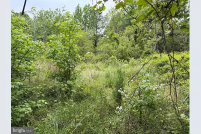 23686 Earl Webster Road, Chance, MD 21821 - Photo 9