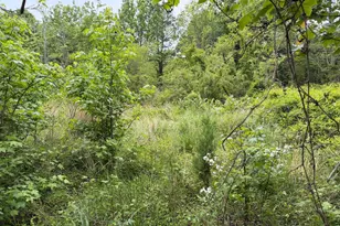23686 Earl Webster Rd, Chance, MD 21821 - Photo 9
