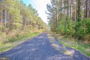 26835 & 26841 Roland Tyler Rd, Crisfield, MD 21817 - Photo 47