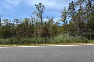Parcel 517 Old State Rd, Crisfield, MD 21817 - Photo 1