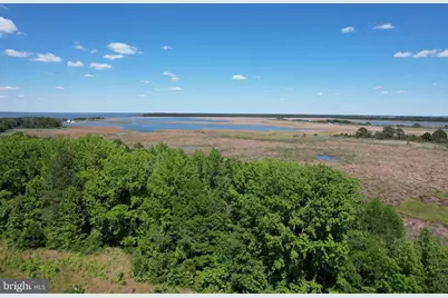Parcel 228 Fishhook Lane, Deal Island, MD 21821 - Photo 3