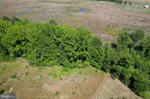 Parcel 228 Fishhook Ln, Deal Island, MD 21821 - Photo 1