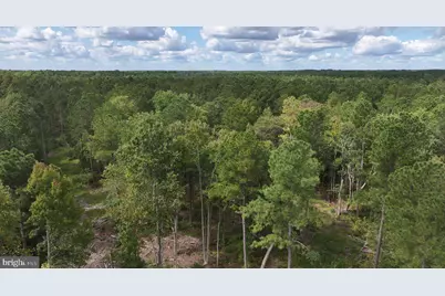 Pine Pole Road, Princess Anne, MD 21853 - Photo 15