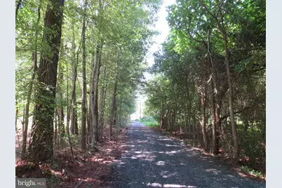 5249 Tulls Road, Marion Station, MD 21838 - Photo 43
