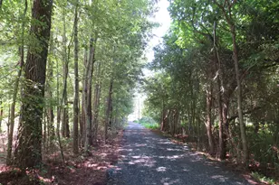 5249 Tulls Rd, Marion Station, MD 21838 - Photo 43