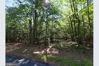 Roland Parks Road, Chance, MD 21821 - Photo 9