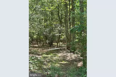 Roland Parks Road, Chance, MD 21821 - Photo 7