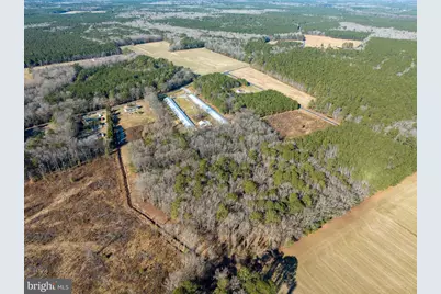 11245 Perryhawkin Church Road, Princess Anne, MD 21853 - Photo 9