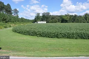 7273 Mennonite Church Rd, Westover, MD 21871 - Photo 29