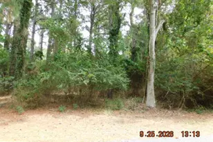 100 Roland Parks Rd, Chance, MD 21821 - Photo 1