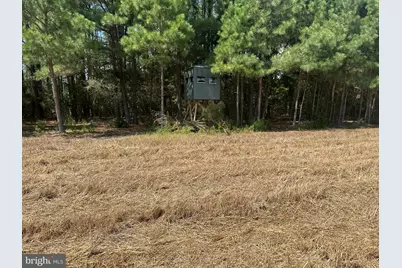 0 Rumbly Point Road, Marion Station, MD 21838 - Photo 13