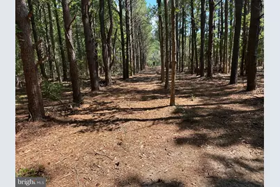 0 Rumbly Point Road, Marion Station, MD 21838 - Photo 39