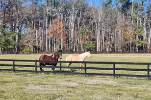 Lot 16A Meadow St, Saint Michaels, MD 21663 - Photo 17