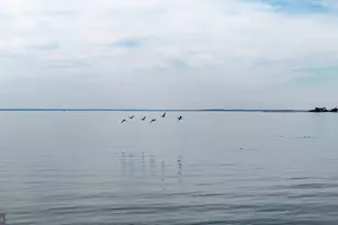 26361 Chanticleer Rd, Oxford, MD 21654 - Photo 25