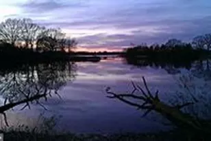 11340 Longwoods Rd, Easton, MD 21601 - Photo 43