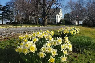 10770 Rich Nck Rd, Claiborne, MD 21624 - Photo 75