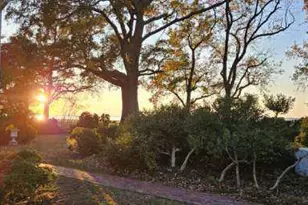 10770 Rich Nck Rd, Claiborne, MD 21624 - Photo 109