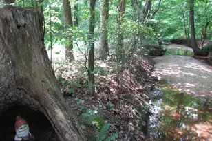 29414 Andrew Ln, Easton, MD 21601 - Photo 43