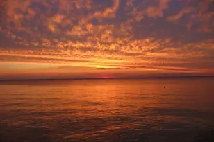 6050 Sunset Ln, Tilghman, MD 21671 - Photo 5