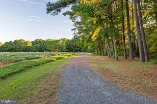 24390 Deep Neck Farm Ln, Royal Oak, MD 21662 - Photo 105