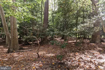 Lot #48 High Banks Drive, Easton, MD 21601 - Photo 7