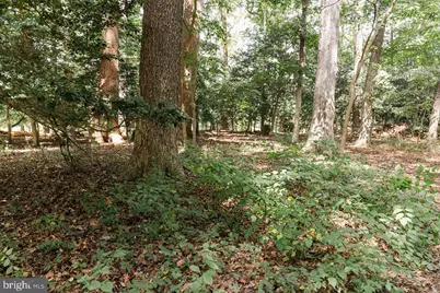 Lot #48 High Banks Drive, Easton, MD 21601 - Photo 9