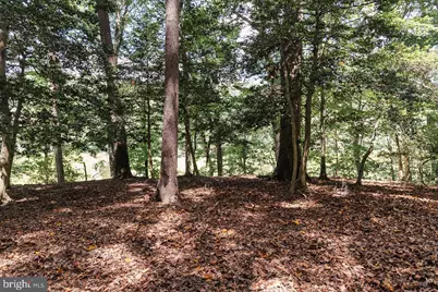 Lot #48 High Banks Drive, Easton, MD 21601 - Photo 17