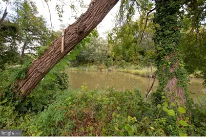 66 Johnson Street, Easton, MD 21601 - Photo 31