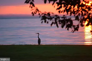 8781 Tilghman Island Rd, Wittman, MD 21676 - Photo 57