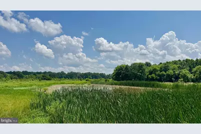 6150 Oxford Road, Easton, MD 21601 - Photo 49