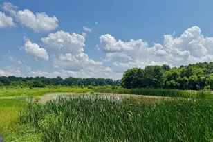 6150 Oxford Rd, Easton, MD 21601 - Photo 49