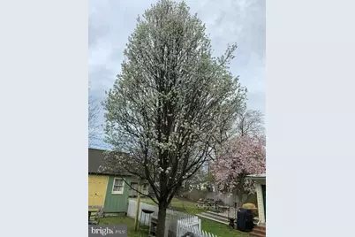 101 Mulberry Street, Saint Michaels, MD 21663 - Photo 43